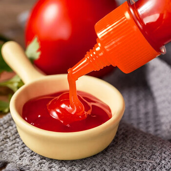 海天番茄酱0脂肪酱料瓶零轻蕃卡番茄沙司无添加蔗糖剂 番茄沙司260g2