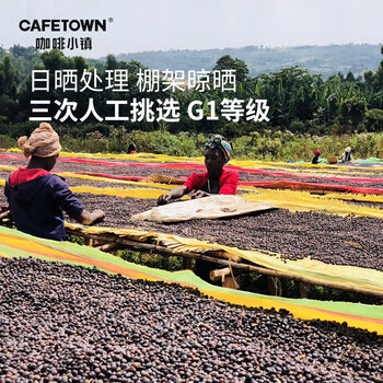 咖啡小镇埃塞俄比亚耶加雪菲手冲咖啡豆 日晒G1精品冷萃美式中度烘焙 227g 咖啡小镇埃塞俄比亚耶加雪菲手冲咖啡豆 日晒G1精品冷萃美式中度烘焙 227g
