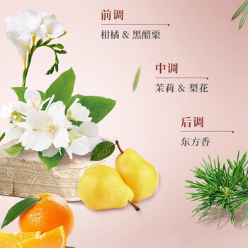 蜂花香皂精油香氛液体皂（梨韵春茶）500g清香易冲洗沐浴肥皂