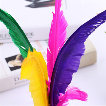 杜威克 毽子大号鹅毛花毽儿 儿童小学生成人羽毛毽球耐踢牛筋底 5个装 杜威克 毽子大号鹅毛花毽儿 儿童小学生成人羽毛毽球耐踢牛筋底 5个装