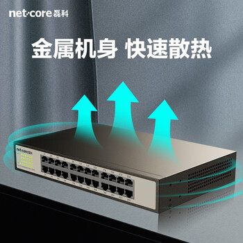 磊科（netcore）S24G 24口千兆交换机 网线分流器 工程高清监控网络分线器 企业级交换机 稳定高速传输