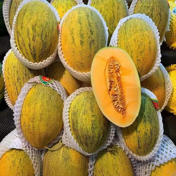 新疆特产伽师八六王黄皮哈密瓜新鲜水果甜瓜王一箱1个瓜箱装送礼生鲜