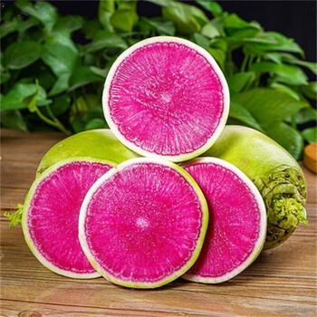 新鲜心里美萝卜 胭脂红水果萝卜生吃脆甜泡菜萝卜 红心萝卜 5斤