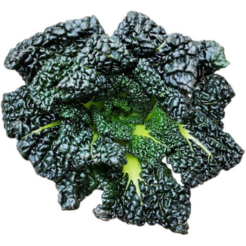 随州泡泡青蔬菜湖北特产黑白菜打霜青菜农家新鲜蔬菜5斤