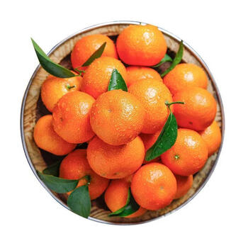 【正宗高山砂糖橘】新鲜水果砂糖橘8/5/3斤 【高山沙糖桔】3斤实惠装