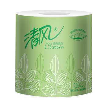 清风 卷筒卫生纸 2层250段/卷*10卷/提*10提 整箱 公用厕纸手纸B202A