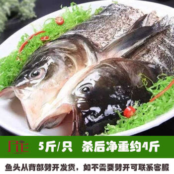 魚頭花鰱胖頭魚新鮮活魚現殺淡水鱅魚鱃魚黑鱅鰱剁椒紅燒燉湯魚頭昌盛