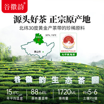 谷徽韵绿茶太平猴魁特级200g2025雨前新茶礼盒装春茶安徽茶叶节日送礼品 谷徽韵绿茶太平猴魁特级200g2025雨前新茶礼盒装春茶安徽茶叶节日送礼品