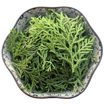 天然野生新鲜侧柏叶 侧柏枝 柏叶柏树叶扁柏叶干测柏叶乌发 精剪2斤【图片 价格 品牌 报价】-京东