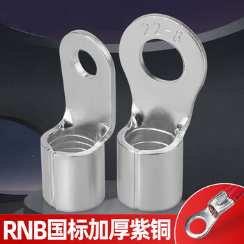 安达通 RNB紫铜裸端子 O型冷压国标加厚铜焊接圆形接线端子 国标RNB2-6(100只) 安达通 RNB紫铜裸端子 O型冷压国标加厚铜焊接圆形接线端子 国标RNB2-6(100只)