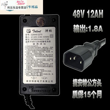 冉易甄选优品适用捷安特电动车充电器dzm48125048v18a特能充电48v12ah