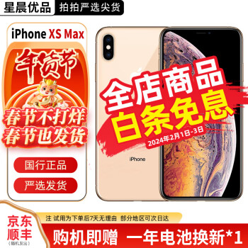 iphoneXs 256g金色品牌及商品- 京东