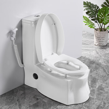 makeupolo家用蹲坐两用马桶防臭节水可蹲可坐连体坐便器 蹲坐两用后排