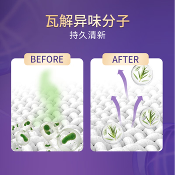 狮王(Lion)NANOX纳米乐抗菌消臭喷雾防皱去除火锅味祛味防皱除臭喷雾 狮王(Lion)NANOX纳米乐抗菌消臭喷雾防皱去除火锅味祛味防皱除臭喷雾