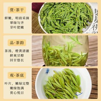 五叶泉茶叶特级绿茶龙井250g 明前龙井新茶春茶茶叶礼盒装送长辈送礼