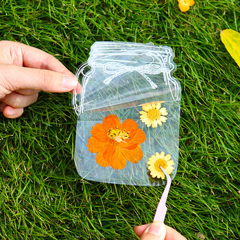 佳茉【热门商品】透明干花书签手工diy材料标本pvc塑封膜创意植物树叶压花瓣瓶26朵收集夏天