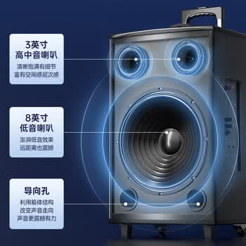 新科 （Shinco）T30 广场舞音响户外拉杆蓝牙音箱三喇叭重低音木质箱体家用K歌移动摆摊低音炮 8吋单咪