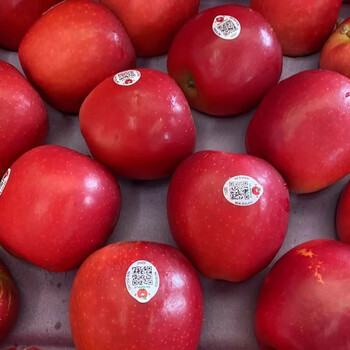 三十九度献鲜 新西兰taylor泰勒红玫瑰苹果10枚中果 新鲜进口苹果脆甜
