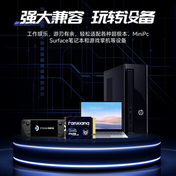 梵想（FANXIANG）500GB SSD固态硬盘 M.2接口NVMe协议PCIe3.0 2230小尺寸规格 电脑游戏机扩展硬盘S530Q