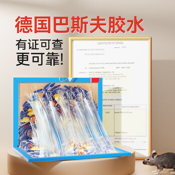 达豪 粘鼠板一强力粘板窝老鼠贴捕捉鼠神器端坚果图案老鼠胶6张 达豪 粘鼠板一强力粘板窝老鼠贴捕捉鼠神器端坚果图案老鼠胶6张