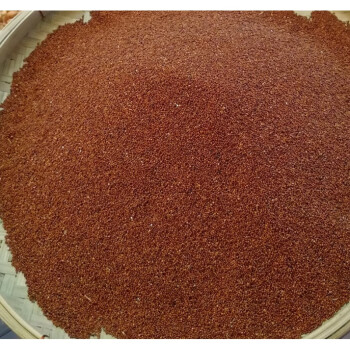 海象人广西特产龙爪粟鸭脚粟农家小米红粟米拳头栗粗粮5斤2500g颗粒