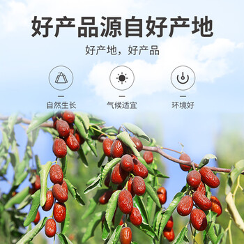 方家铺子中华老字号 红枣片200g 无核枣片免洗即食 泡茶浓香 方家铺子中华老字号 红枣片200g 无核枣片免洗即食 泡茶浓香