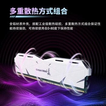 长城（Great Wall）32G(16G*2)套条 DDR5 5600 马甲条 台式机内存条