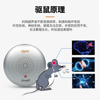 金大侠驱鼠器双频超声波干扰器电子猫家用不用药灭鼠捕鼠神器 2台装 金大侠驱鼠器双频超声波干扰器电子猫家用不用药灭鼠捕鼠神器 2台装