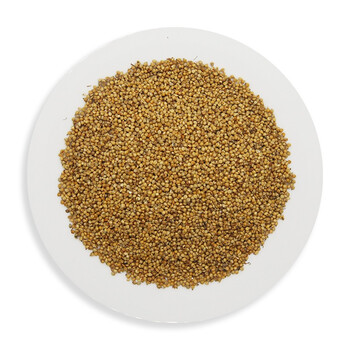 华草晟 炒谷芽 消食和中 健脾开胃 中药饮片 500g/袋装 250g