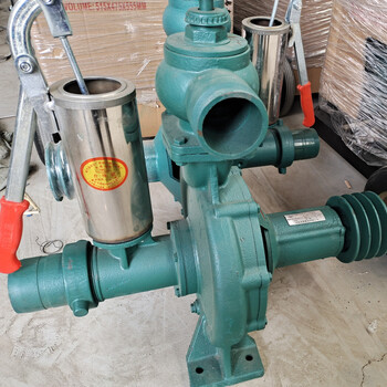 农业灌溉浇地喷灌喷枪水泵高压双叶轮192f柴油机一体水泵高压拖泵15