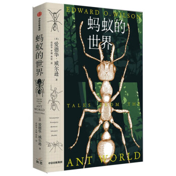 蚂蚁的世界