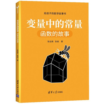 变量中的常量:函数的故事(给孩子的数学故事书)