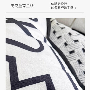 艾薇抱枕套 沙发抱枕靠垫套床头靠枕套45*45cm艺术线条