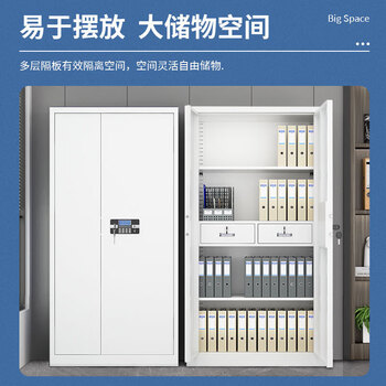 远奥保密柜办公室铁皮柜资料柜文件柜灰白色钢制密码锁通门档案凭证柜