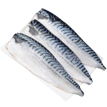 尊利渔青花鱼片生鱼类鲐鱼片海捕鱼海鲜水产 国产鲭鱼柳 健康轻食 140