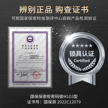 盛浪保密柜文件柜分双节带抽密码柜高185*宽90*深42cm