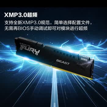 金士顿（Kingston）FURY 64GB(32G×2)套装 DDR5 5200 台式机内存条 Beast野兽系列 骇客神条