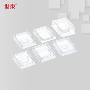 世泰 实验室一次性PVC材质冰冻切片包埋模具OCT冷冻包埋盒底模包埋模具京仓直发 内孔17x17x5mm100只/袋 