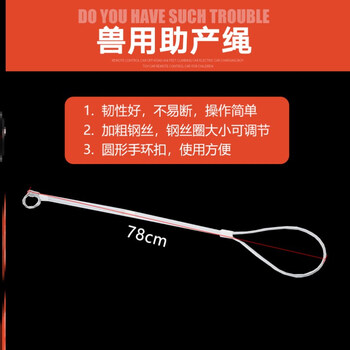 套猪器钢丝绳套子猪嘴套抓猪保定兽用养殖绑定器绑猪器猪用 助产绳(5