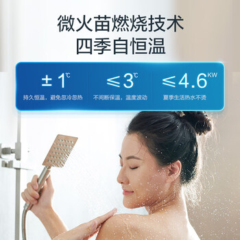 林内（Rinnai）燃气壁挂炉 天然气地暖全屋智控 采暖热水器两用锅炉 智能小鲸鱼18KW  L1PB20-18C39