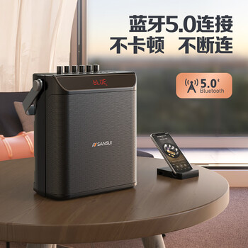 山水（SANSUI）E76户外k歌专用广场舞音响便携式移动大音量大功率唱歌音响露营声卡直播收款电木吉他民谣乐器音箱