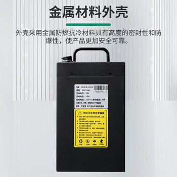 艾迪宝（ADIBO） 智能培训羽毛球发球机电池组24V锂电池组发球机配件DL-2425R