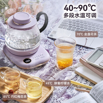 小熊养生壶 养生杯 0.8L迷你烧水壶 煮茶壶 多功能私享花茶壶 电热水壶 开水壶 私享小壶 YSH-C08N1
