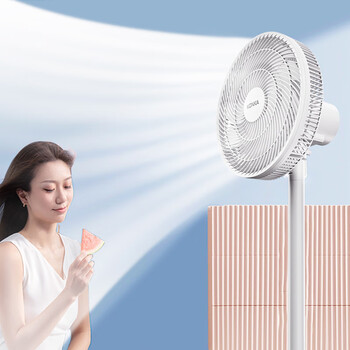 康佳（KONKA）落地电风扇十叶扇立式低噪家用宿舍风扇节能强劲大风力空气循环广角送风 KLDS-2401