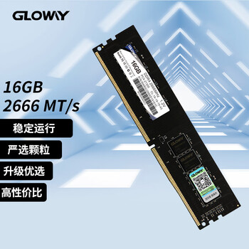 光威（Gloway）16GB DDR4 2666 台式机内存条 战将系列