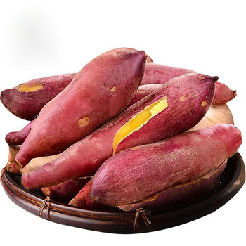 陕西板栗红薯小香薯新鲜5斤9斤红心蜜薯现挖地瓜番薯农家沙地山芋整箱