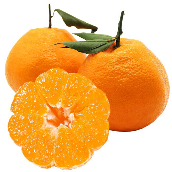 桃小蒙四川丹棱春见耙耙柑 橘子桔子 新鲜水果柑橘 5斤中果 13-16个