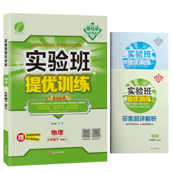 实验班提优训练 初中物理九年级下册人教版RMJY同步强化练习2022年春(含答案 测评卷)
