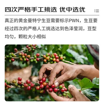 鹿家嘴印度尼西亚PWN正宗黄金曼特宁单品精品挂耳咖啡10g×10片