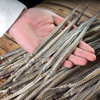 海龙干货正宗公母一对泡酒的六角大海龙海燕海麻雀海星21cm大海龙5条5